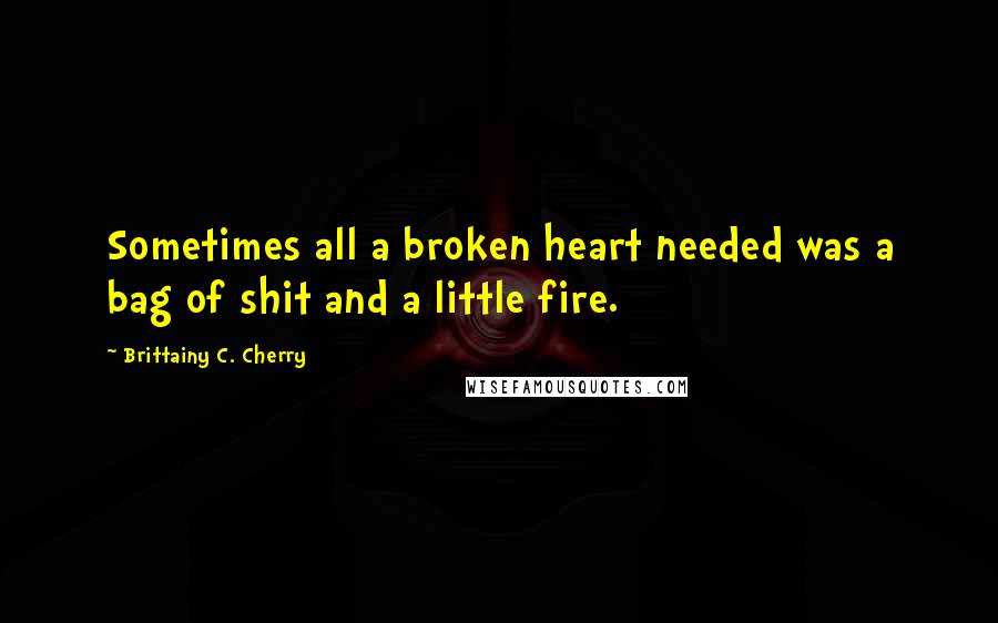 Brittainy C. Cherry Quotes: Sometimes all a broken heart needed was a bag of shit and a little fire.