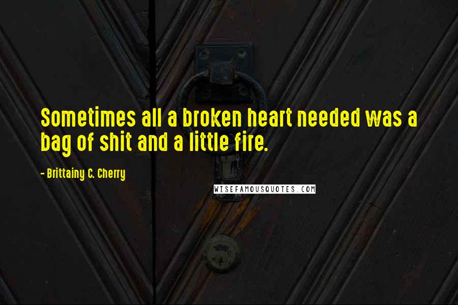 Brittainy C. Cherry Quotes: Sometimes all a broken heart needed was a bag of shit and a little fire.