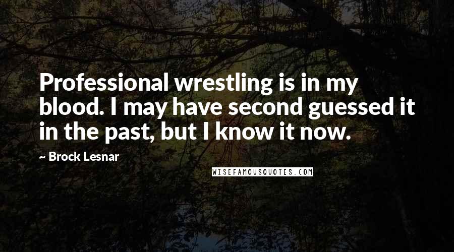 Brock Lesnar Quotes: Professional wrestling is in my blood. I may have second guessed it in the past, but I know it now.