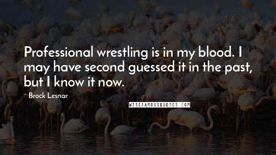 Brock Lesnar Quotes: Professional wrestling is in my blood. I may have second guessed it in the past, but I know it now.