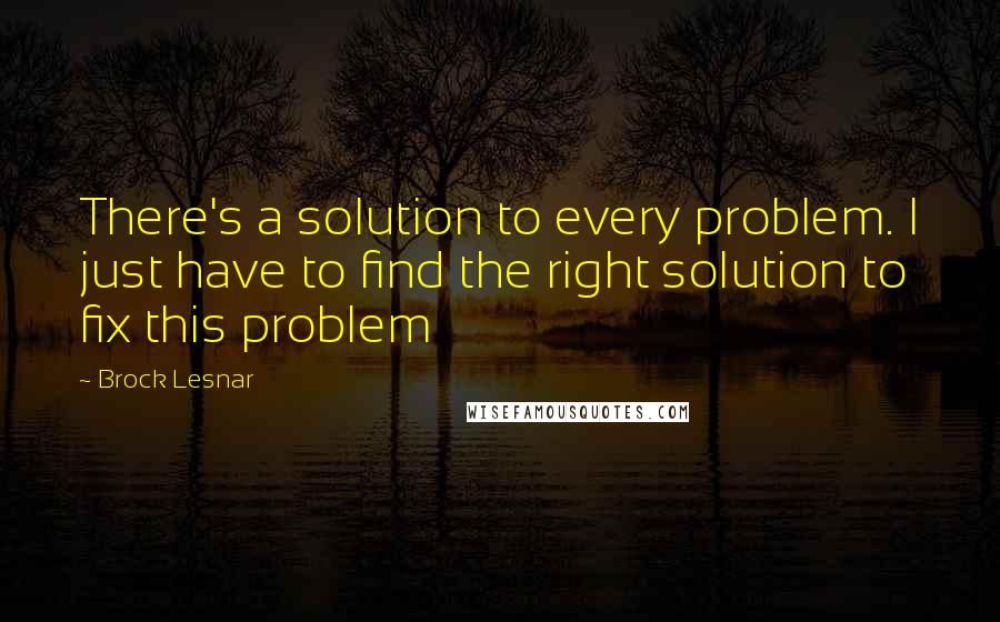 Brock Lesnar Quotes: There's a solution to every problem. I just have to find the right solution to fix this problem