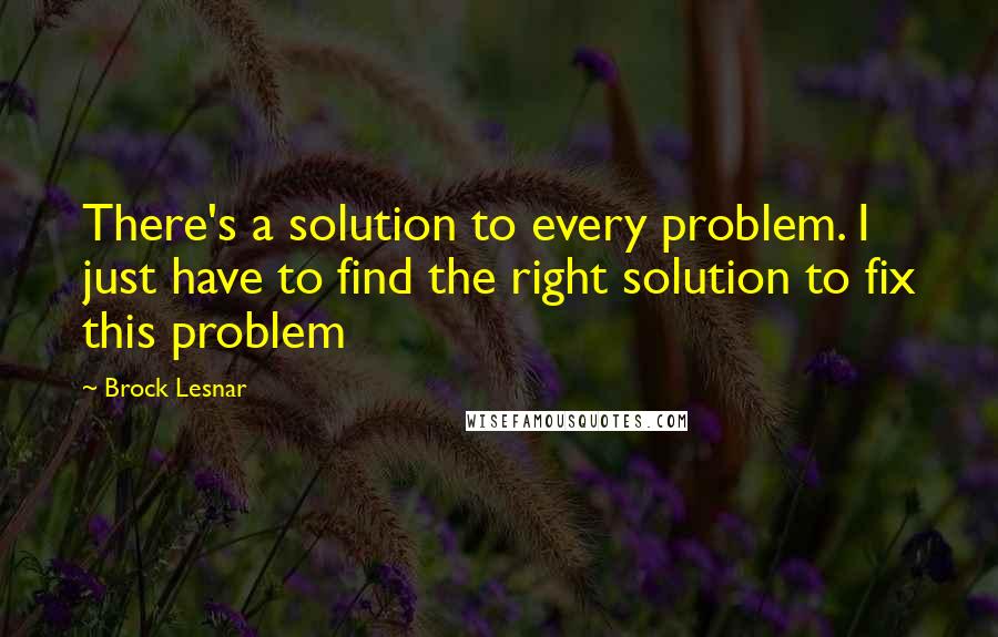 Brock Lesnar Quotes: There's a solution to every problem. I just have to find the right solution to fix this problem