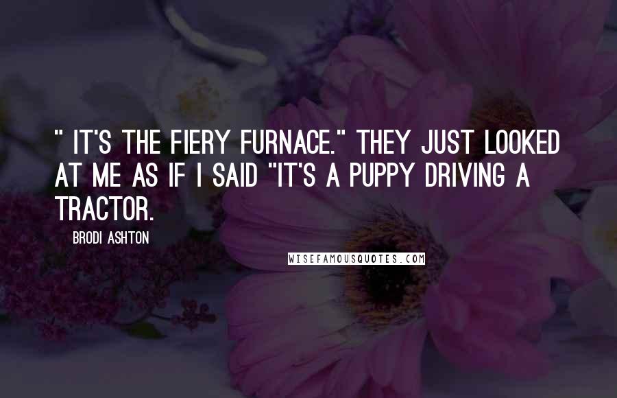 Brodi Ashton Quotes: " it's the Fiery Furnace." They just looked at me as if I said "It's a puppy driving a tractor.