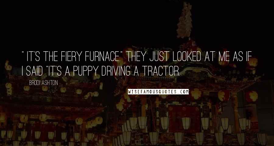 Brodi Ashton Quotes: " it's the Fiery Furnace." They just looked at me as if I said "It's a puppy driving a tractor.