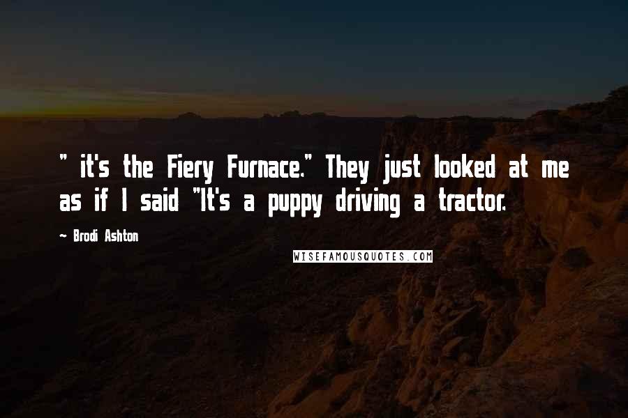 Brodi Ashton Quotes: " it's the Fiery Furnace." They just looked at me as if I said "It's a puppy driving a tractor.