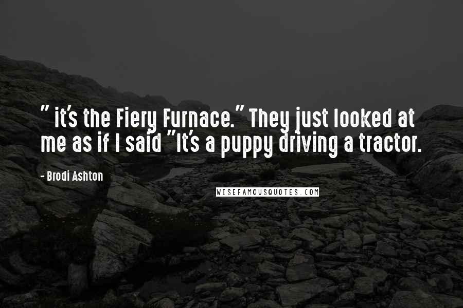 Brodi Ashton Quotes: " it's the Fiery Furnace." They just looked at me as if I said "It's a puppy driving a tractor.