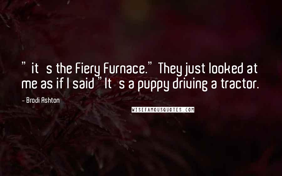 Brodi Ashton Quotes: " it's the Fiery Furnace." They just looked at me as if I said "It's a puppy driving a tractor.
