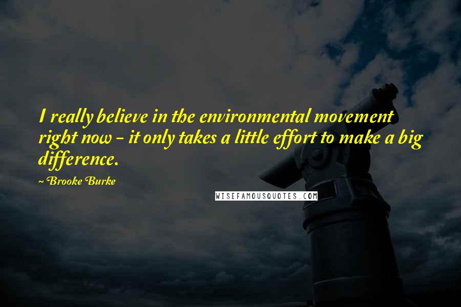 Brooke Burke Quotes: I really believe in the environmental movement right now - it only takes a little effort to make a big difference.