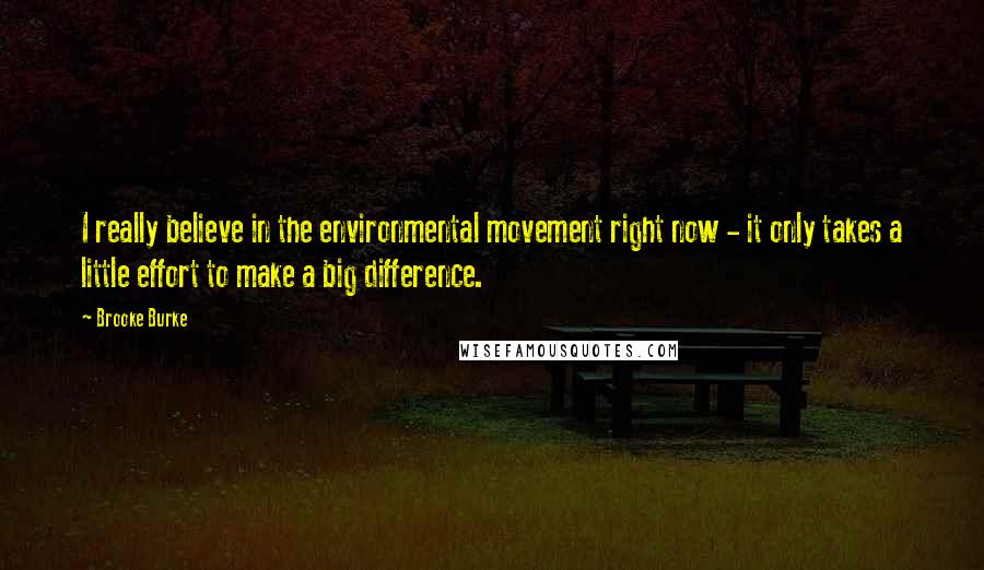 Brooke Burke Quotes: I really believe in the environmental movement right now - it only takes a little effort to make a big difference.