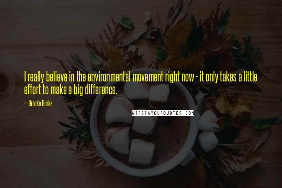 Brooke Burke Quotes: I really believe in the environmental movement right now - it only takes a little effort to make a big difference.