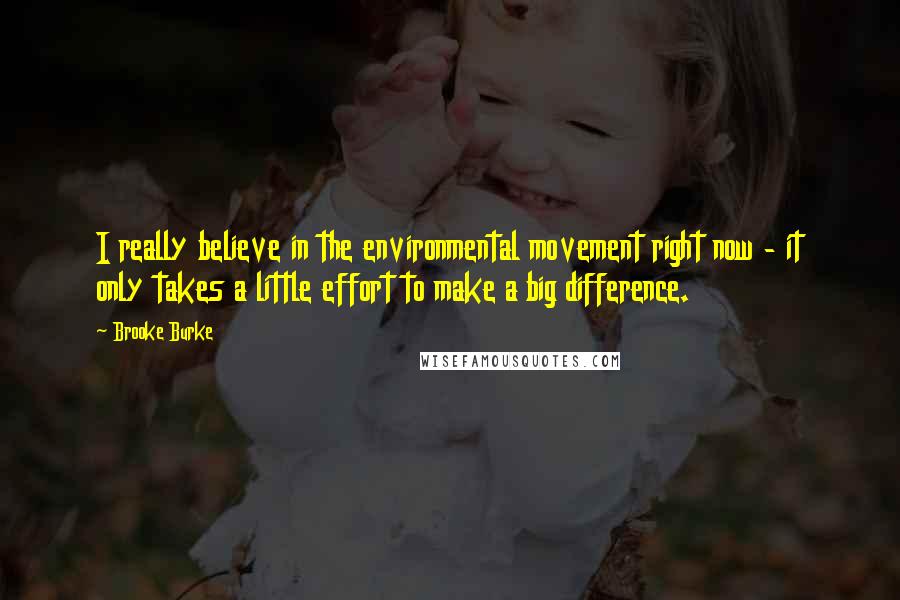 Brooke Burke Quotes: I really believe in the environmental movement right now - it only takes a little effort to make a big difference.