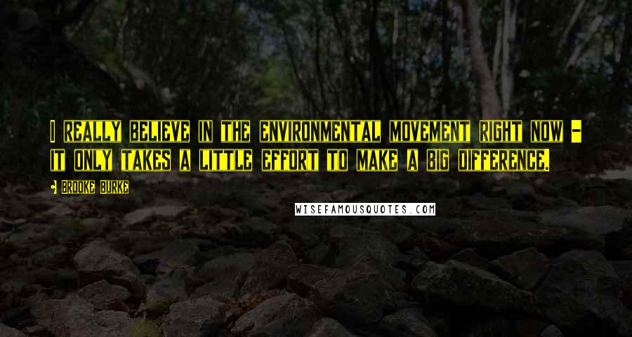 Brooke Burke Quotes: I really believe in the environmental movement right now - it only takes a little effort to make a big difference.