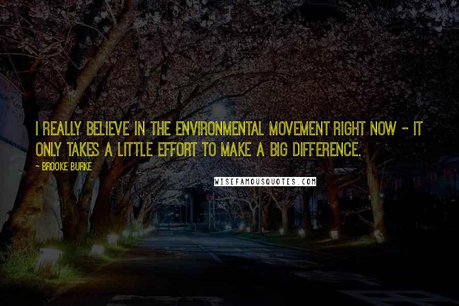 Brooke Burke Quotes: I really believe in the environmental movement right now - it only takes a little effort to make a big difference.