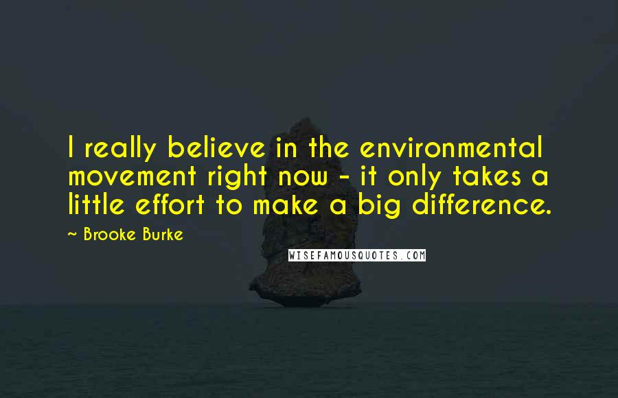 Brooke Burke Quotes: I really believe in the environmental movement right now - it only takes a little effort to make a big difference.