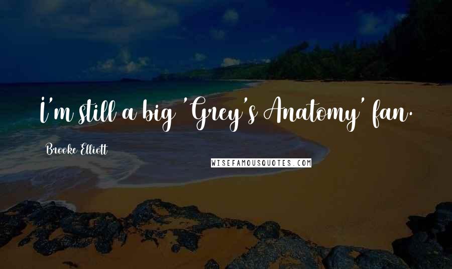Brooke Elliott Quotes: I'm still a big 'Grey's Anatomy' fan.
