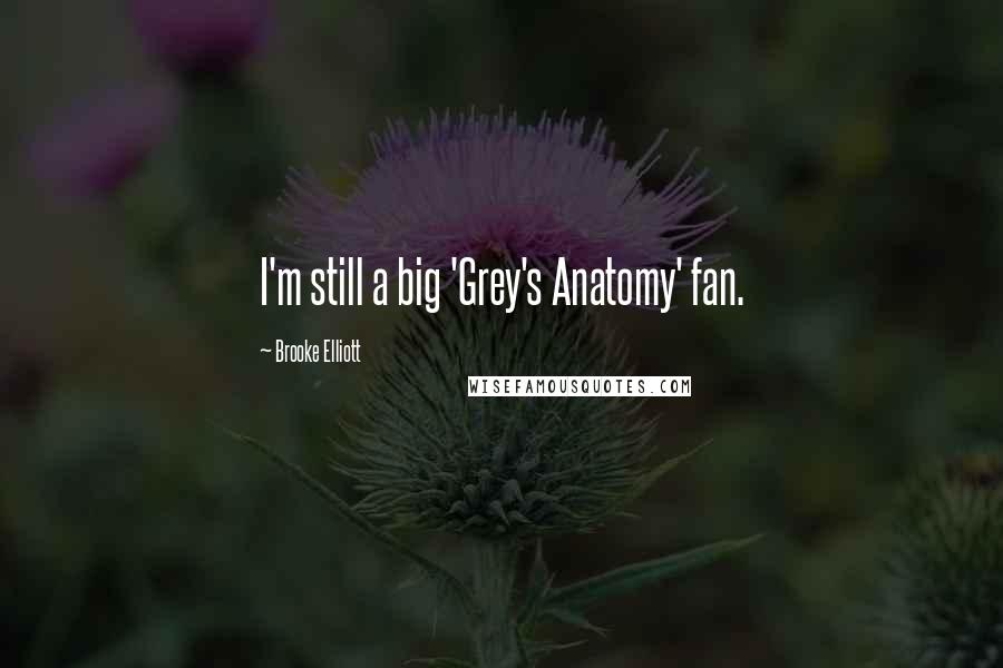 Brooke Elliott Quotes: I'm still a big 'Grey's Anatomy' fan.