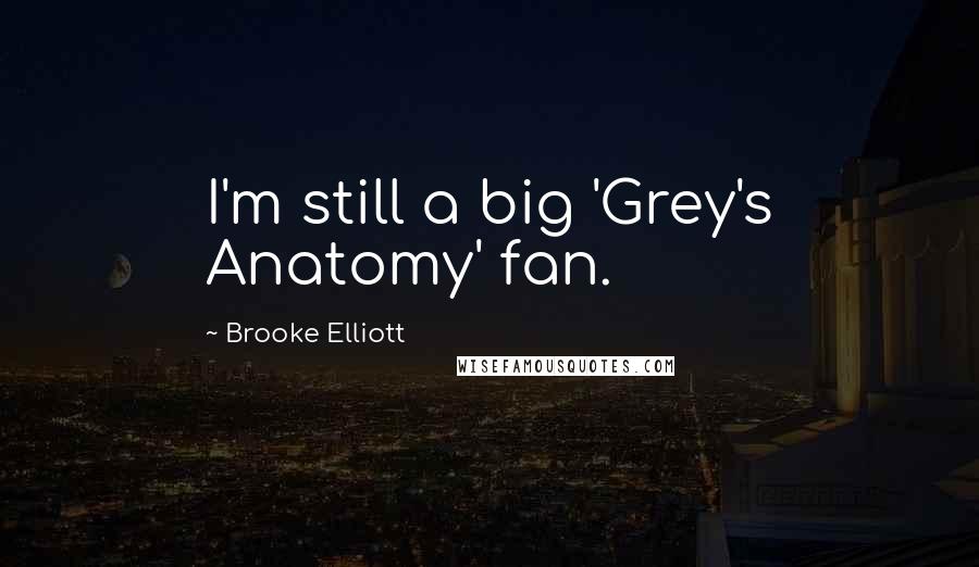 Brooke Elliott Quotes: I'm still a big 'Grey's Anatomy' fan.