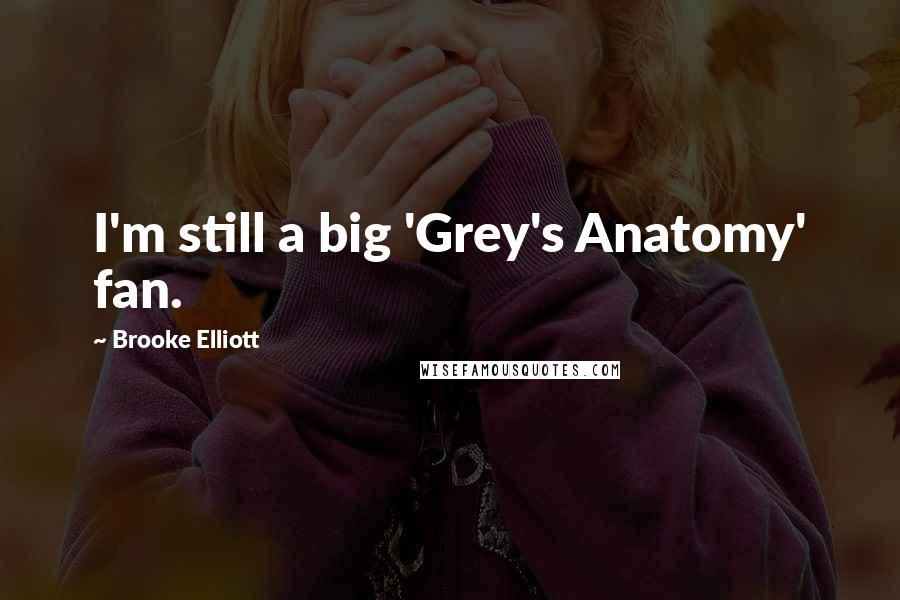 Brooke Elliott Quotes: I'm still a big 'Grey's Anatomy' fan.