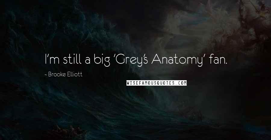Brooke Elliott Quotes: I'm still a big 'Grey's Anatomy' fan.