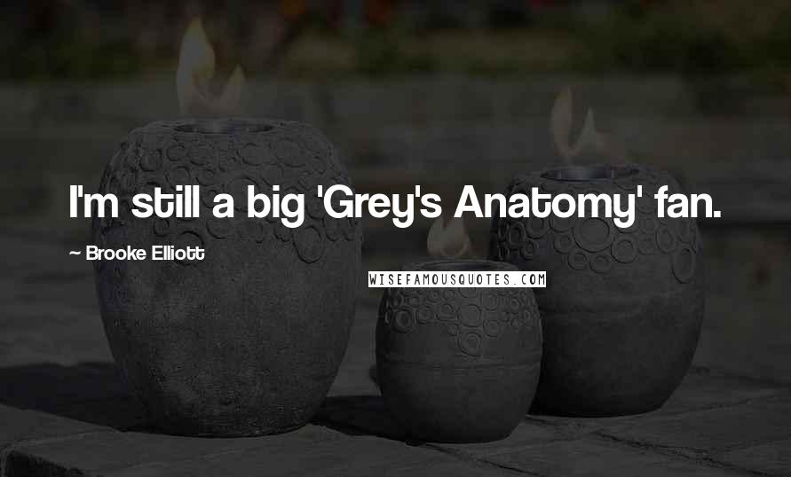 Brooke Elliott Quotes: I'm still a big 'Grey's Anatomy' fan.