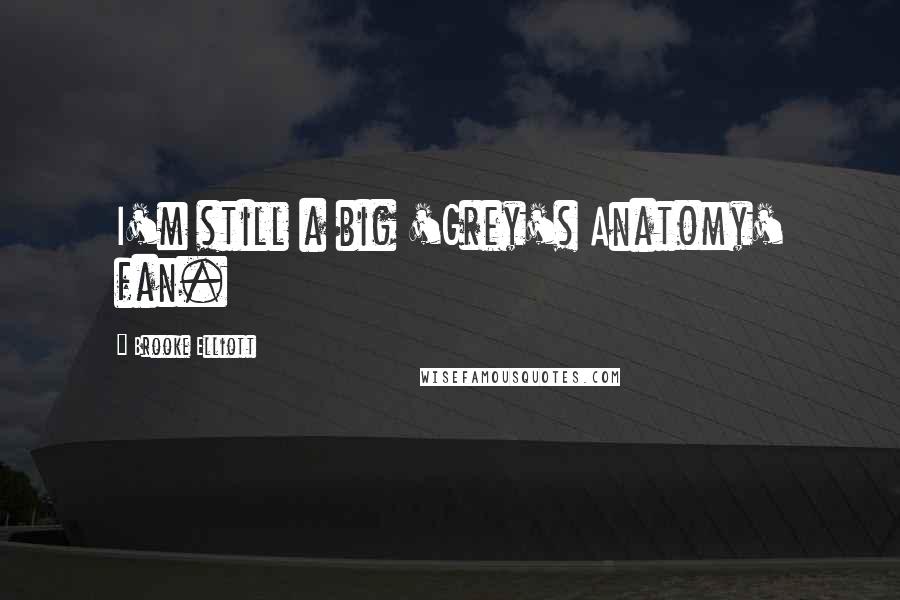 Brooke Elliott Quotes: I'm still a big 'Grey's Anatomy' fan.