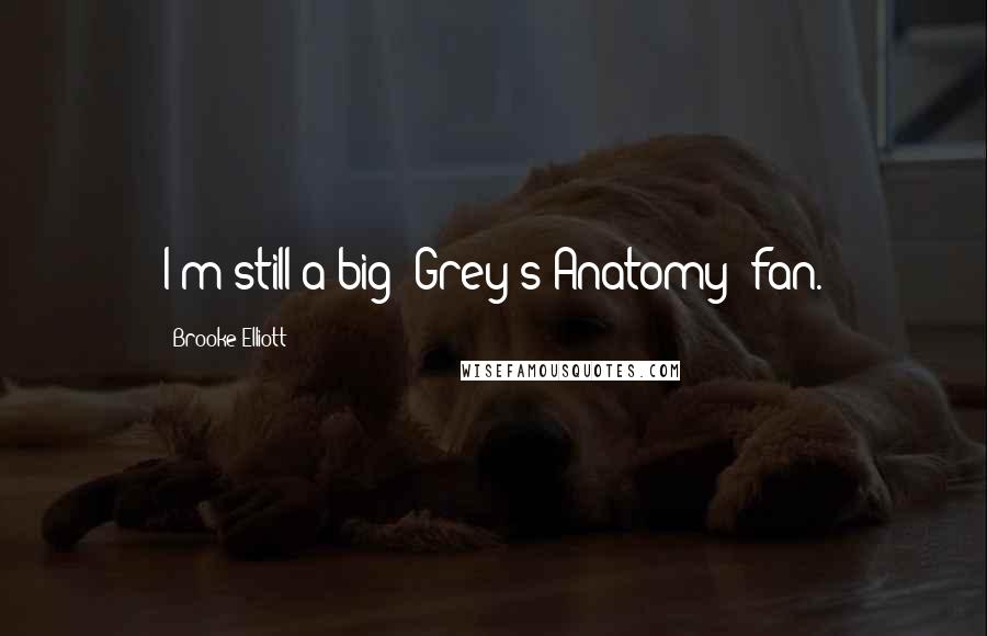 Brooke Elliott Quotes: I'm still a big 'Grey's Anatomy' fan.