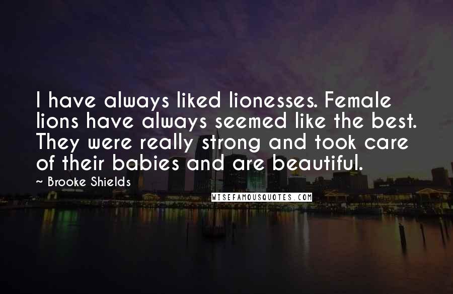 Brooke Shields Quotes: I have always liked lionesses. Female lions have always seemed like the best. They were really strong and took care of their babies and are beautiful.