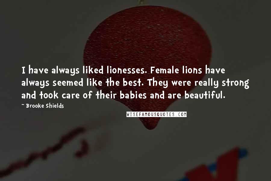 Brooke Shields Quotes: I have always liked lionesses. Female lions have always seemed like the best. They were really strong and took care of their babies and are beautiful.