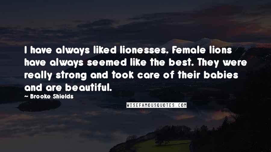 Brooke Shields Quotes: I have always liked lionesses. Female lions have always seemed like the best. They were really strong and took care of their babies and are beautiful.