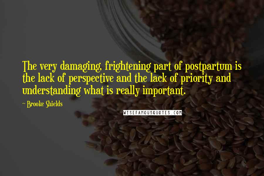 Brooke Shields Quotes: The very damaging, frightening part of postpartum is the lack of perspective and the lack of priority and understanding what is really important.