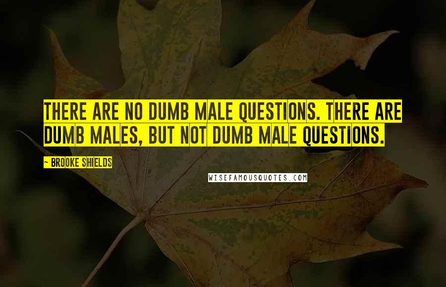 Brooke Shields Quotes: There are no dumb male questions. There are dumb males, but not dumb male questions.