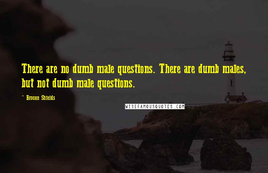 Brooke Shields Quotes: There are no dumb male questions. There are dumb males, but not dumb male questions.