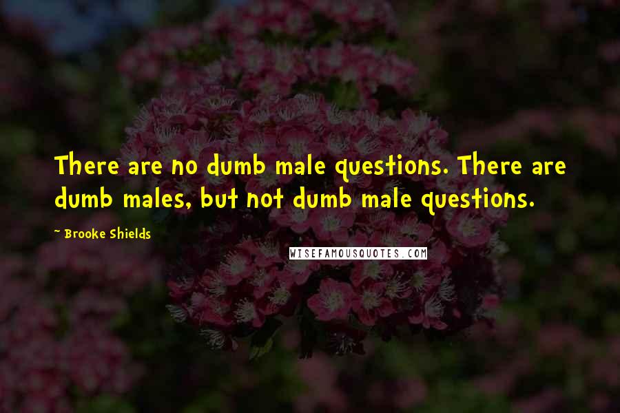 Brooke Shields Quotes: There are no dumb male questions. There are dumb males, but not dumb male questions.