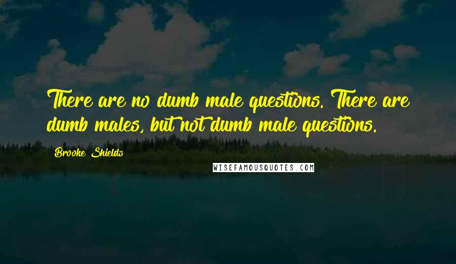 Brooke Shields Quotes: There are no dumb male questions. There are dumb males, but not dumb male questions.