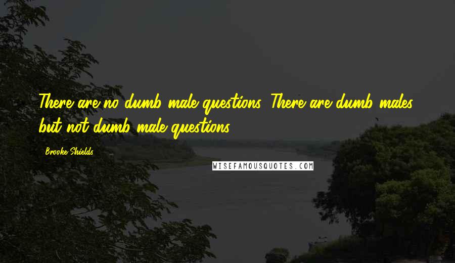 Brooke Shields Quotes: There are no dumb male questions. There are dumb males, but not dumb male questions.