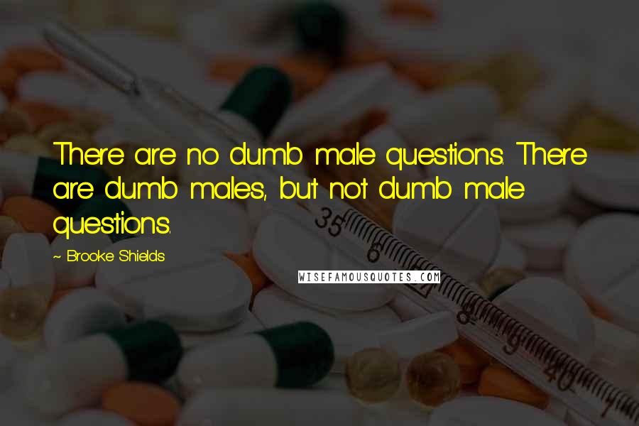 Brooke Shields Quotes: There are no dumb male questions. There are dumb males, but not dumb male questions.