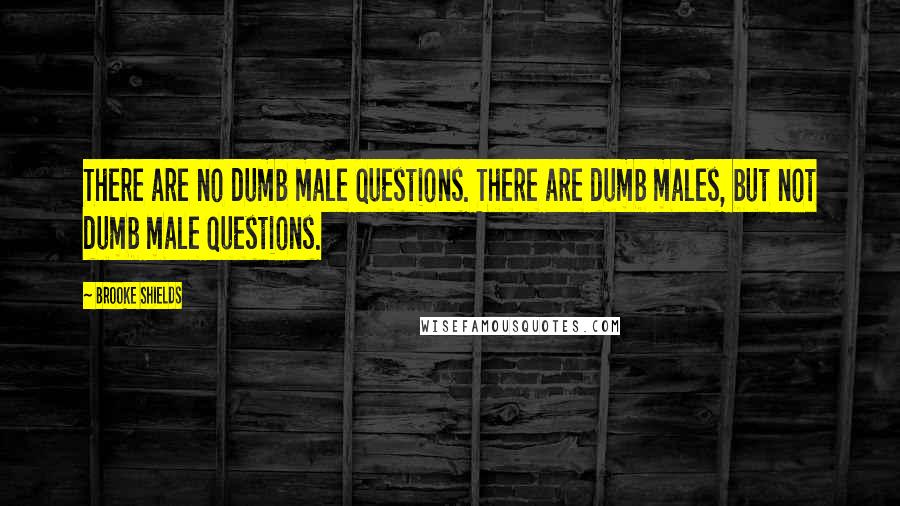 Brooke Shields Quotes: There are no dumb male questions. There are dumb males, but not dumb male questions.