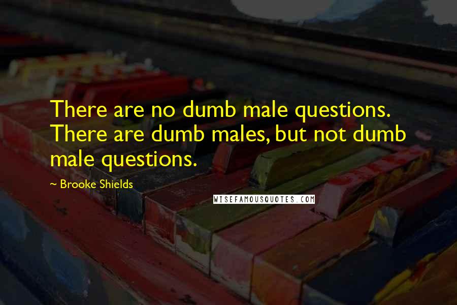 Brooke Shields Quotes: There are no dumb male questions. There are dumb males, but not dumb male questions.