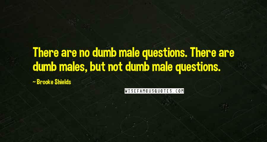 Brooke Shields Quotes: There are no dumb male questions. There are dumb males, but not dumb male questions.