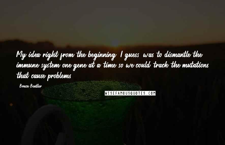 Bruce Beutler Quotes: My idea right from the beginning, I guess, was to dismantle the immune system one gene at a time so we could track the mutations that cause problems.