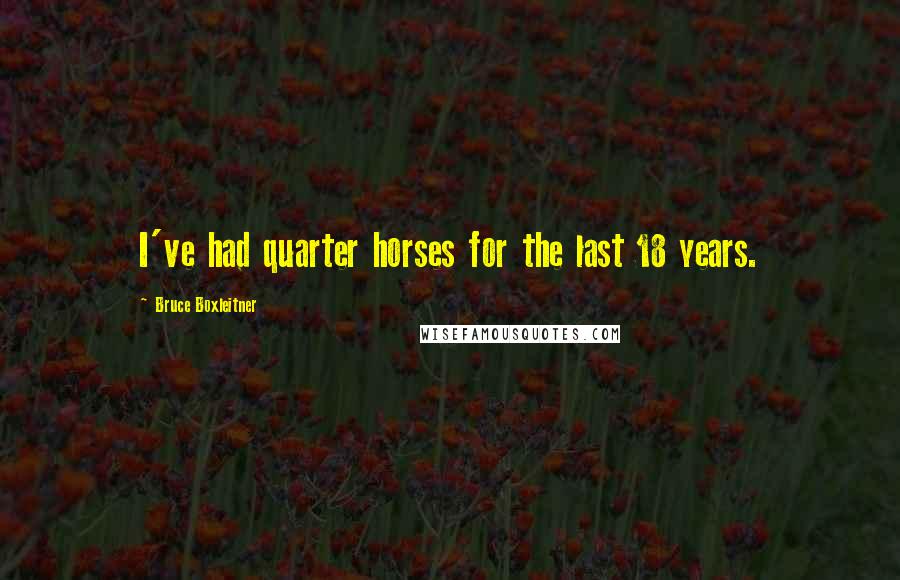 Bruce Boxleitner Quotes: I've had quarter horses for the last 18 years.