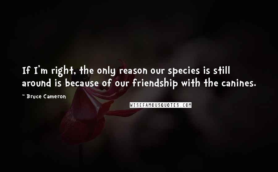Bruce Cameron Quotes: If I'm right, the only reason our species is still around is because of our friendship with the canines.