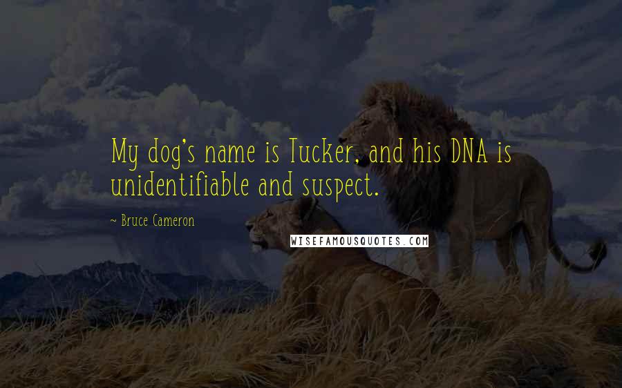 Bruce Cameron Quotes: My dog's name is Tucker, and his DNA is unidentifiable and suspect.