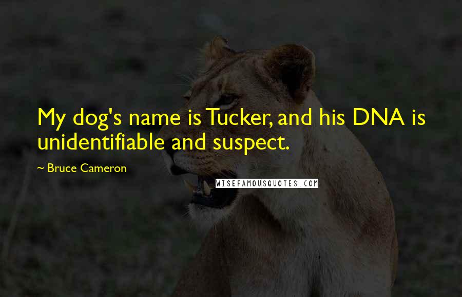 Bruce Cameron Quotes: My dog's name is Tucker, and his DNA is unidentifiable and suspect.