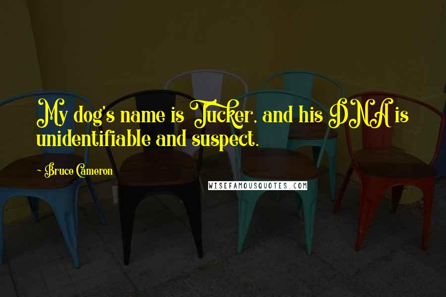 Bruce Cameron Quotes: My dog's name is Tucker, and his DNA is unidentifiable and suspect.