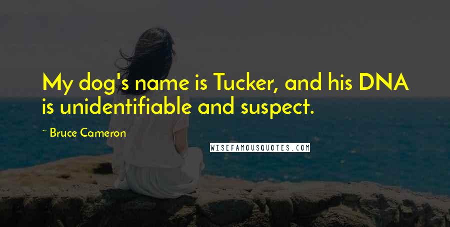 Bruce Cameron Quotes: My dog's name is Tucker, and his DNA is unidentifiable and suspect.