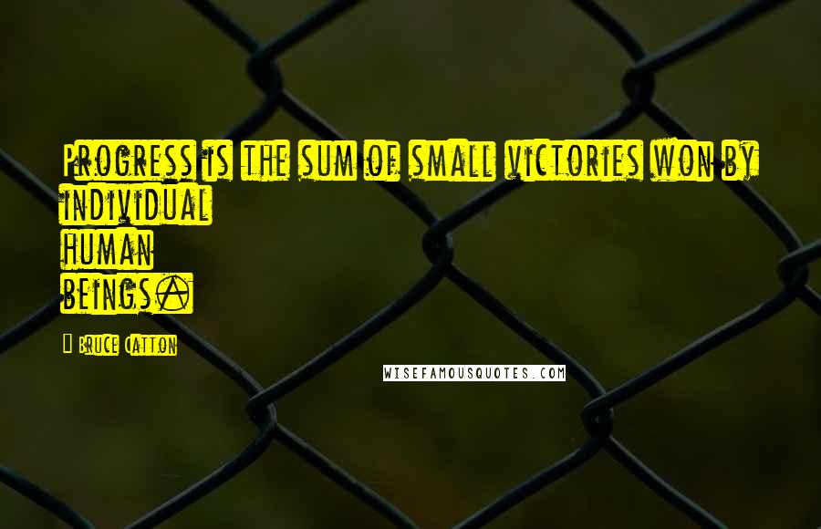 Bruce Catton Quotes: Progress is the sum of small victories won by individual human beings.