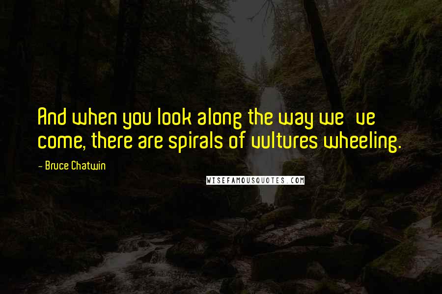 Bruce Chatwin Quotes: And when you look along the way we've come, there are spirals of vultures wheeling.