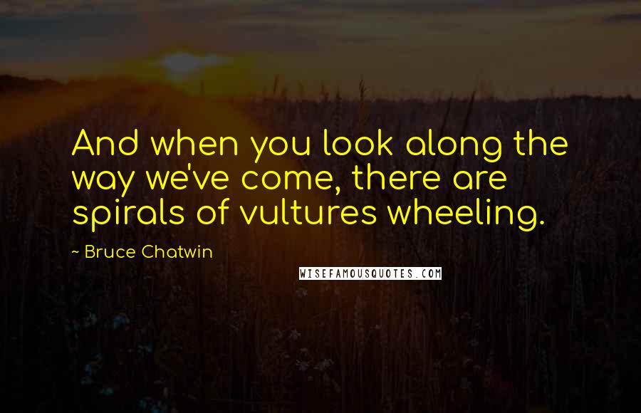 Bruce Chatwin Quotes: And when you look along the way we've come, there are spirals of vultures wheeling.