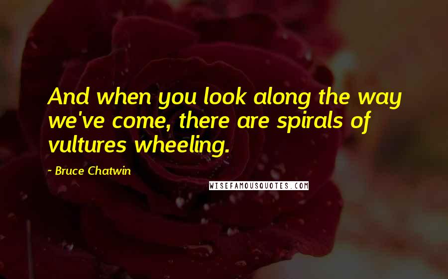 Bruce Chatwin Quotes: And when you look along the way we've come, there are spirals of vultures wheeling.